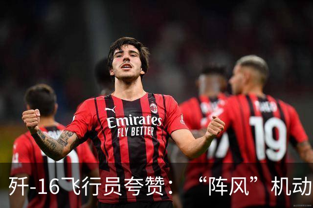 歼-16飞行员夸赞：“阵风”机动性、近距格斗能力都要更强一些！
